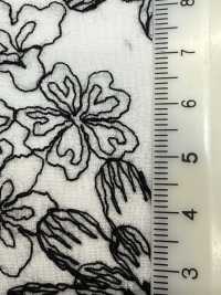 KCL525-DP-312 Dentelle En Coton 60[Fabrication De Textile] Uni Textile(Atelier Komon) Sous-photo