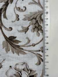 HP-203-1 CL Loomstate PT[Fabrication De Textile] HOKKOH Sous-photo