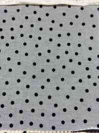 HP-5087-1 Maillot 50d[Fabrication De Textile] HOKKOH Sous-photo