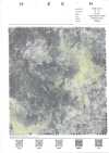 7026-410-2 La Lumière Du Soleil En Maille Transparente Filtre à Travers Les Arbres