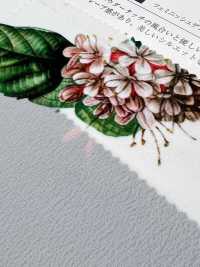 KDP1401-58-DD-783 Impression Sur Tissu à 80 % Pour Machine à écrire[Fabrication De Textile] Uni Textile(Atelier Komon) Sous-photo