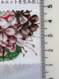 KDP1401-58-DD-783 Impression Sur Tissu à 80 % Pour Machine à écrire[Fabrication De Textile] Uni Textile(Atelier Komon) Sous-photo