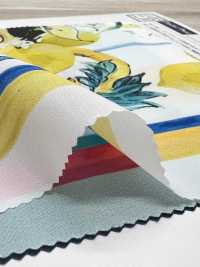 KDP2312SD-58-DD-241 Impression Jet D'encre Grande Largeur Féminine Dechin[Fabrication De Textile] Uni Textile(Atelier Komon) Sous-photo