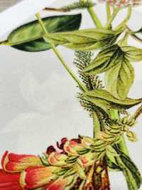 KDP7711-58-DD899 Impression Jet D'encre à Gros Grain Léger Et Large Largeur[Fabrication De Textile] Uni Textile(Atelier Komon) Sous-photo