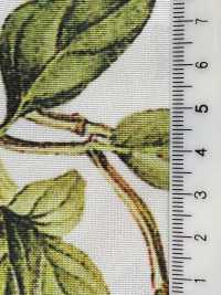 KDP7711-58-DD899 Impression Jet D'encre à Gros Grain Léger Et Large Largeur[Fabrication De Textile] Uni Textile(Atelier Komon) Sous-photo