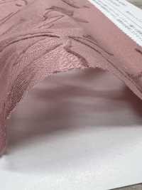 KKC500-D1 Coton 50 Coupé Jacquard Teint[Fabrication De Textile] Uni Textile(Atelier Komon) Sous-photo