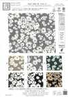 KKP1400-58-DSB-151 Feminish Dechine, grande laize