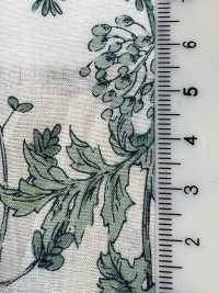 28104 Pelouse à 60 Fils, Imprimé Floral Botanique[Fabrication De Textile] SUNWELL Sous-photo