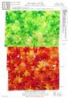 KKP2338-D-KOUYOU Ninokoshi Chirimen® Feuilles d’automne