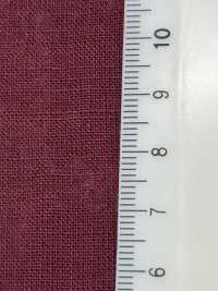 RN5061 Pelouse Platt Air In En Lin Et Papier Washi[Fabrication De Textile] KOYAMA Sous-photo