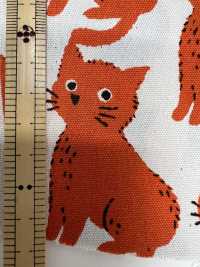 850575 Coton Oxford Non Blanchi Chat Et Chidori[Fabrication De Textile] VANCET Sous-photo