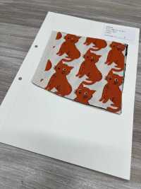 850575 Coton Oxford Non Blanchi Chat Et Chidori[Fabrication De Textile] VANCET Sous-photo