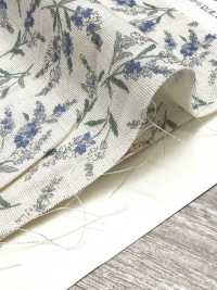83073 Double Gaze De Coton Écru Collection Nostalgie / Veronica[Fabrication De Textile] VANCET Sous-photo