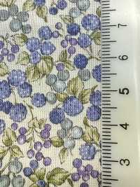83069 SEVENBERRY® Pelouse De Coton Non Blanchi Collection Nostalgie / Jardin De Baies[Fabrication De Textile] VANCET Sous-photo