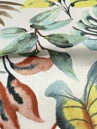 4251 SEVENBERRY® Broadcloth Élégant Détente/Vacances[Fabrication De Textile] VANCET Sous-photo