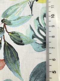 4251 SEVENBERRY® Broadcloth Élégant Détente/Vacances[Fabrication De Textile] VANCET Sous-photo