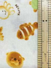 AP61208-DR Nunomonogatari Loomstate (à Moitié Plié)[Fabrication De Textile] COSMO TEXTILE Sous-photo