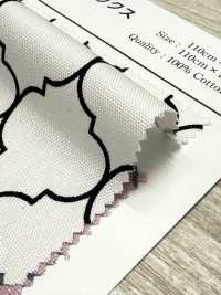 SP5500-DR Oxford Marocain (Plié En Deux)[Fabrication De Textile] COSMO TEXTILE Sous-photo