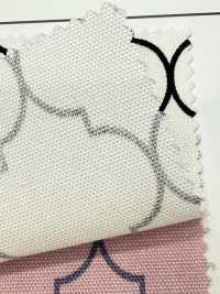 SP5500-DR Oxford Marocain (Plié En Deux)[Fabrication De Textile] COSMO TEXTILE Sous-photo