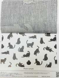 AP52101-DR Kuroneko Oxford (Plié En Deux)[Fabrication De Textile] COSMO TEXTILE Sous-photo