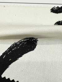 AP52101-DR Kuroneko Oxford (Plié En Deux)[Fabrication De Textile] COSMO TEXTILE Sous-photo