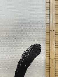 AP52101-DR Kuroneko Oxford (Plié En Deux)[Fabrication De Textile] COSMO TEXTILE Sous-photo