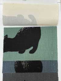 AP52101-DR Kuroneko Oxford (Plié En Deux)[Fabrication De Textile] COSMO TEXTILE Sous-photo