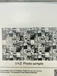 AP55201-DR Cinefabric Oxford (Plié En Deux)[Fabrication De Textile] COSMO TEXTILE Sous-photo