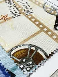 AP55201-DR Cinefabric Oxford (Plié En Deux)[Fabrication De Textile] COSMO TEXTILE Sous-photo