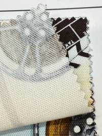 AP55201-DR Cinefabric Oxford (Plié En Deux)[Fabrication De Textile] COSMO TEXTILE Sous-photo