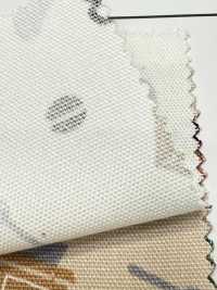 AP55110-DR Tea Time Oxford (Demi-plié)[Fabrication De Textile] COSMO TEXTILE Sous-photo