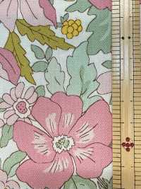 AP55808 Essential Grace 2 Oxford (Rond)[Fabrication De Textile] COSMO TEXTILE Sous-photo
