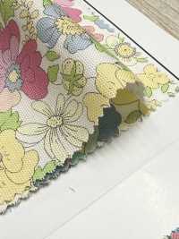 AP55808 Essential Grace 2 Oxford (Rond)[Fabrication De Textile] COSMO TEXTILE Sous-photo