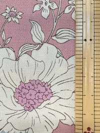 AP55808 Essential Grace 2 Oxford (Rond)[Fabrication De Textile] COSMO TEXTILE Sous-photo