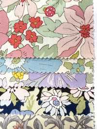 AP55808-DR Essential Grace 2 Oxford (Plié En Deux)[Fabrication De Textile] COSMO TEXTILE Sous-photo