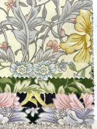 AP55808-DR Essential Grace 2 Oxford (Plié En Deux)[Fabrication De Textile] COSMO TEXTILE Sous-photo