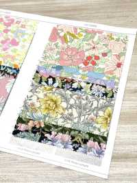 AP55808-DR Essential Grace 2 Oxford (Plié En Deux)[Fabrication De Textile] COSMO TEXTILE Sous-photo