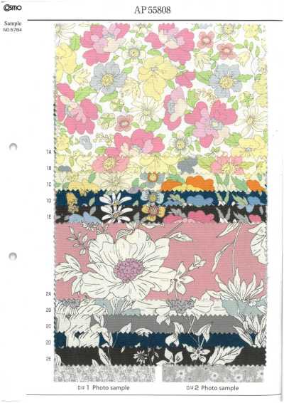 AP55808-DR Essential Grace 2 Oxford (demi-plié)