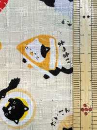 AP55109-DR Dobby Japonais (Plié En Deux)[Fabrication De Textile] COSMO TEXTILE Sous-photo