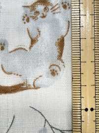 AP55205-DR Double Gaze Animal Pastel (Plié En Deux)[Fabrication De Textile] COSMO TEXTILE Sous-photo