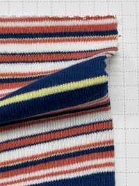 SD0174 Fil à Fils Ouverts 20/1, Rayures Horizontales Multiples Teintes En Fil[Fabrication De Textile] SHIBAYA Sous-photo