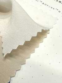 1830 Toile De Fibres Modales En Poly-Tencel™[Fabrication De Textile] Textiles Kuwamura Sous-photo