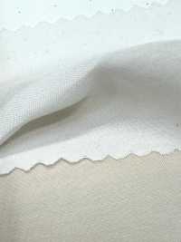 1830 Toile De Fibres Modales En Poly-Tencel™[Fabrication De Textile] Textiles Kuwamura Sous-photo