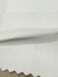 SBT-003 Bio, Écologique, Sans Motif[Fabrication De Textile] Textiles Kuwamura Sous-photo