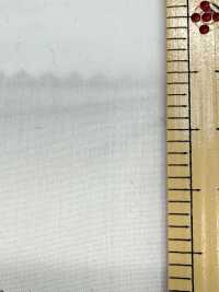 SBT-003 Bio, Écologique, Sans Motif[Fabrication De Textile] Textiles Kuwamura Sous-photo