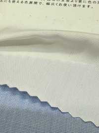 2190 80/2 Fin à Fin Tamamushi Chambray[Fabrication De Textile] Textiles Kuwamura Sous-photo