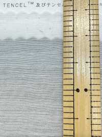 1860 Pelouse En Fibres De Nylon/Tencel™ Lyocell[Fabrication De Textile] Textiles Kuwamura Sous-photo