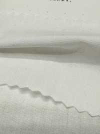 2030 Lin 40/1 Anti-duvet[Fabrication De Textile] Textiles Kuwamura Sous-photo