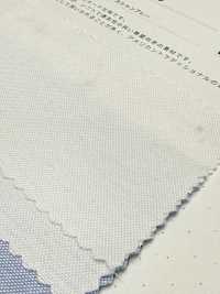 2050 Oxford Chambray[Fabrication De Textile] Textiles Kuwamura Sous-photo