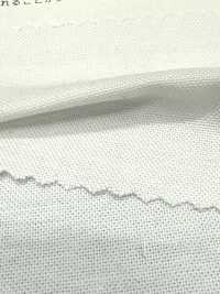 2050 Oxford Chambray[Fabrication De Textile] Textiles Kuwamura Sous-photo